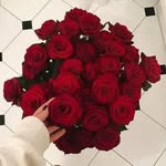 @saraword2020 - Instagram