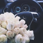 sara_writer - @sara_writer - Instagram