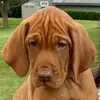 sarahyarbrough391 - @sarahyarbrough391 - TikTok
