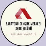 SARAYÖNÜ GENÇLİK MERKEZİ SK - @sarayonugmsk.voleybol - Instagram