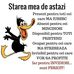 Sara York - Facebook