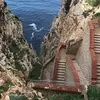 Sara Zhou - @sarazhou58 - TikTok