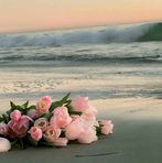 Sarab Ali - Facebook