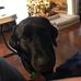 Sarah Abercrombie-Mills - Facebook