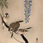 Sarah Abney - @sinistrosa1 - Instagram
