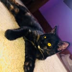 Sarah Aderhold - @sarah_ann_spammmmmm - Instagram