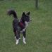 Sarah Aitchison - Facebook