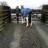Sarah Aitchison - @2169388054 - TikTok