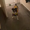 Sarah Aitchison - @sarah143x - TikTok