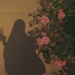 sarah. allam - @sarahallam77 - Instagram