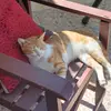Sarah Allam - @sarah.allam01 - TikTok