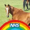 Sarah Hallam - @sarahhallam3 - TikTok