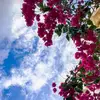 🌸sarah - @___sarah_amar__ - TikTok