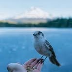 Sarah Amar - Facebook