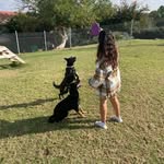 Sarah Amar - @sarahamar1998 - Instagram