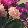 Sarah.Anders - @sarah.anders7 - TikTok