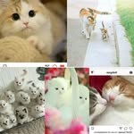 sarahannisa9305 - @sarahannisa93056995 - Instagram
