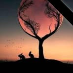 Sara AnTer - Facebook