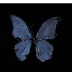 sarah Anter - @anter7657 - Instagram