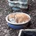 Sarah Arney - Facebook