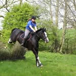 Sarah Ashurst - @sgrashurst - Instagram