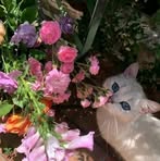 Sarah Atef - Facebook