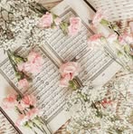 Sarah Atef - Facebook
