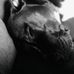 Sarah Auld - Facebook