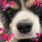 Sarah-Jane Auld - @sarahjaneauld - Instagram