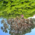 Sarah Ault - @aultco1 - Instagram