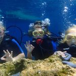Sarah Bainbridge - @bainbridge4581 - Instagram