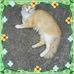 Sarah Bancroft - Facebook
