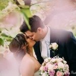 Sarah Bancroft - @sarahtraceybancroft - Instagram