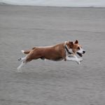 Sarah Bancroft - @sarah.bancroft.16 - Instagram