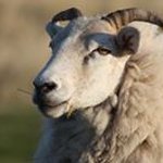 Sarah barnwell - @barnwell_sarah - Instagram