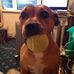 Sarah Barnwell - Facebook