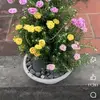 Sarah Barrera - @sara.barrera28 - TikTok