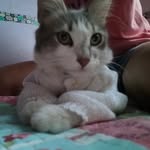 Sarah Barrera - @titta_b_m_ - Instagram
