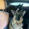 sarahbarrera47 - @sarah.barrera38 - TikTok
