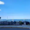 sarahbarta905 - @sarahbarta905 - TikTok