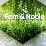 Sarah Bartley - @fern_and_noble - Instagram