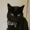 Sarah Bartosik Ibarr - @sarahbartosikibar - TikTok