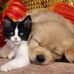 Sarah Basdeo - Facebook