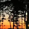 sarahbateman_o103 - @sarahbateman_o103 - TikTok