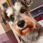 Sarah Batson - @sarah.batson.33 - Instagram