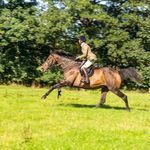 Sarah Batts - @tattsbatts77 - Instagram