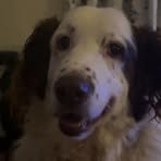 Sarah Batts - Facebook