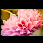 sarah baylor - @sarahbaylor5737 - Instagram