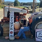 Sarah Beal - Facebook