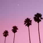 @sarah.beaner - Instagram